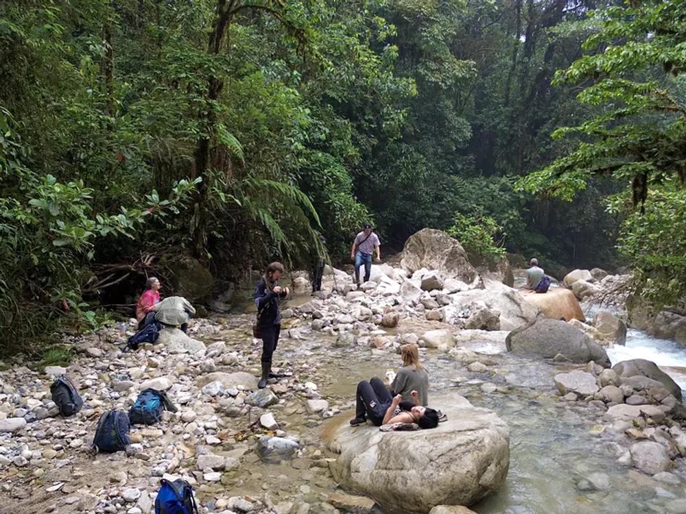 Reserva Ecológica Waska Wild en la cordillera de la Abitagua