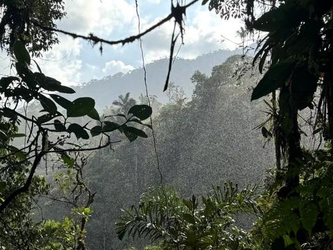 Reserva Waska Wild - Primeros Registros