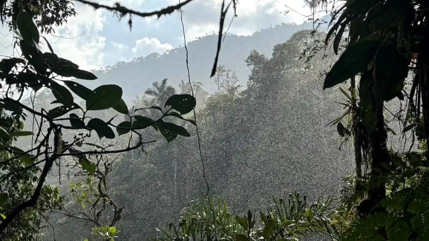 Reserva Waska Wild - Primeros Registros