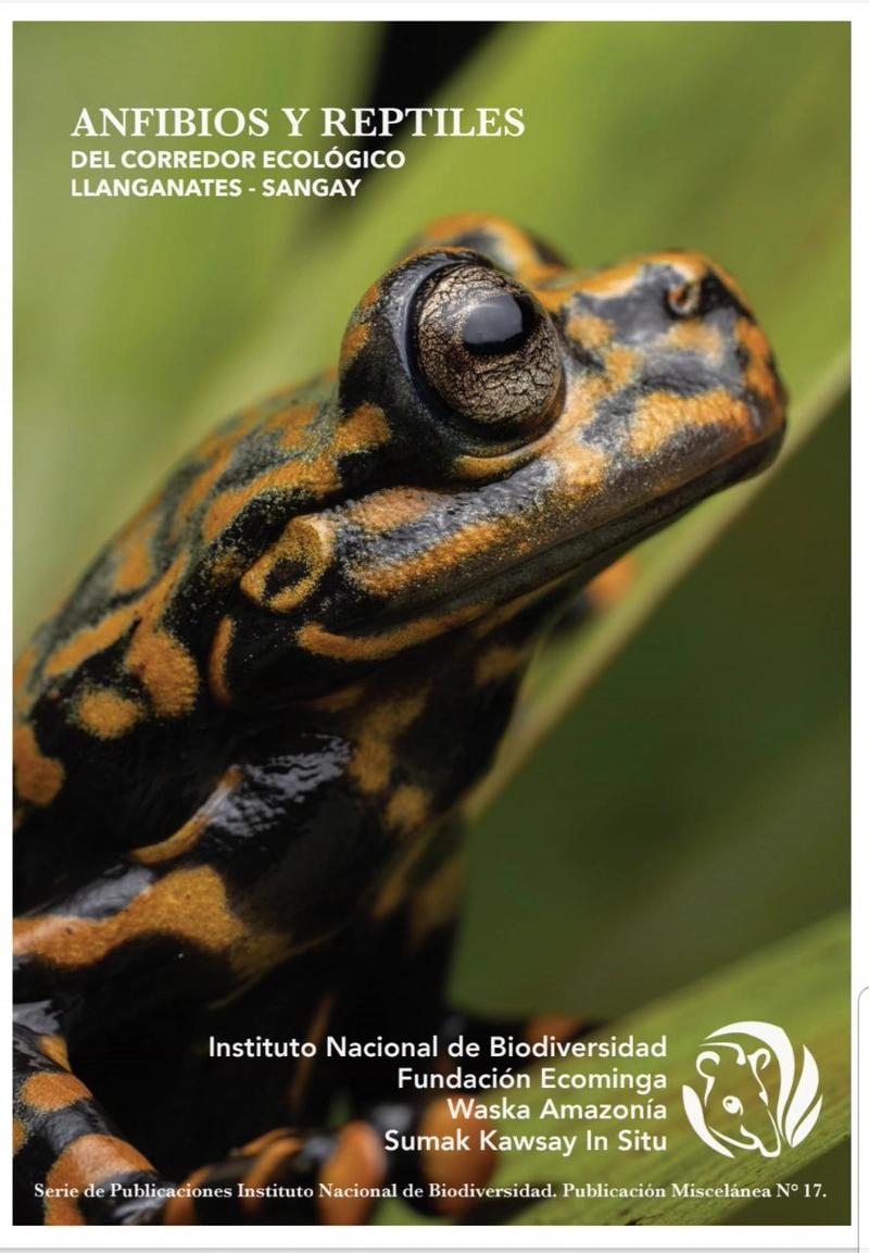 Anfibios y Reptiles - Waska Amazonia