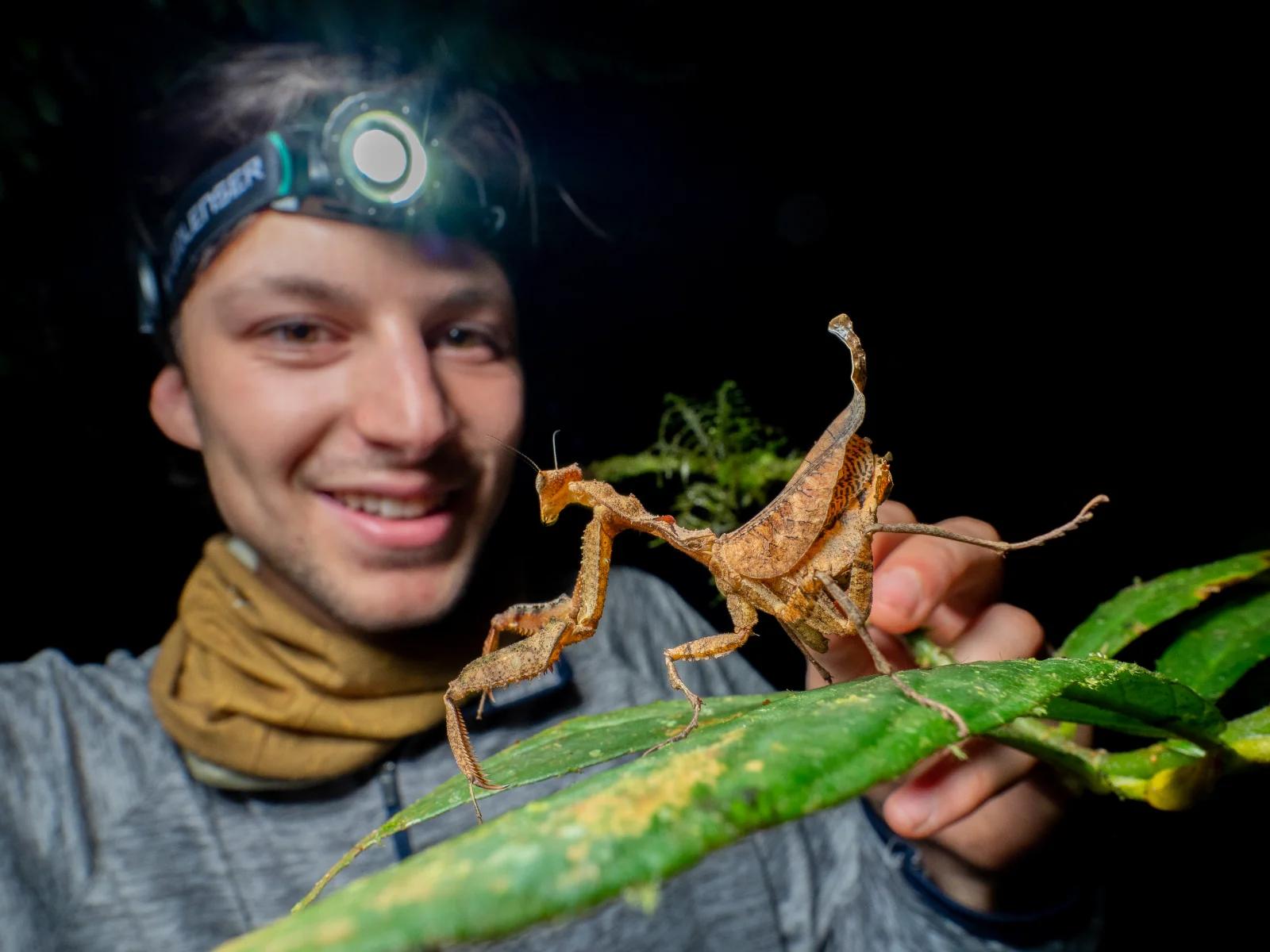 Acanthopidae - Waska Amazonia