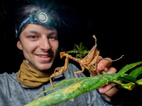 Acanthopidae - Waska Amazonia