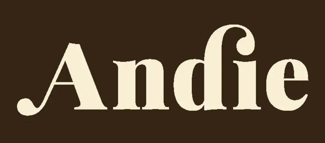 Andie Swim logo