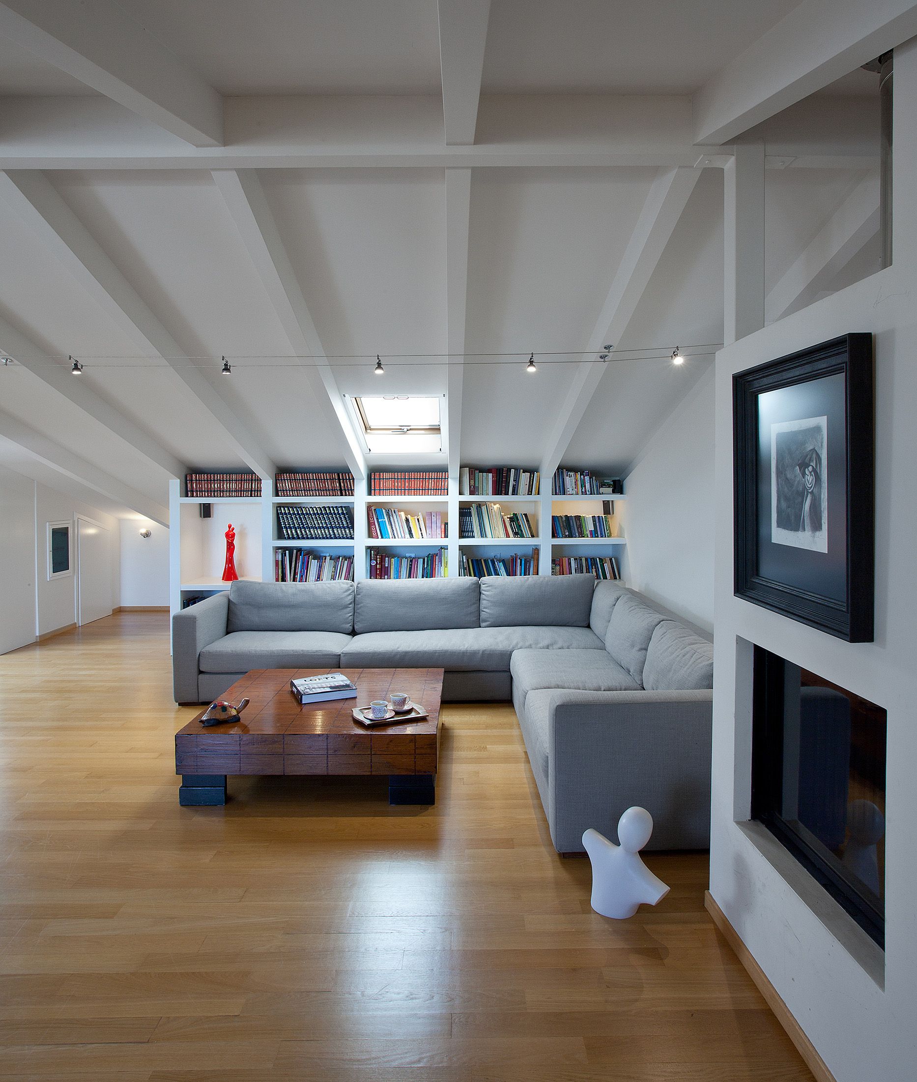 Duplex Roof Apartment
