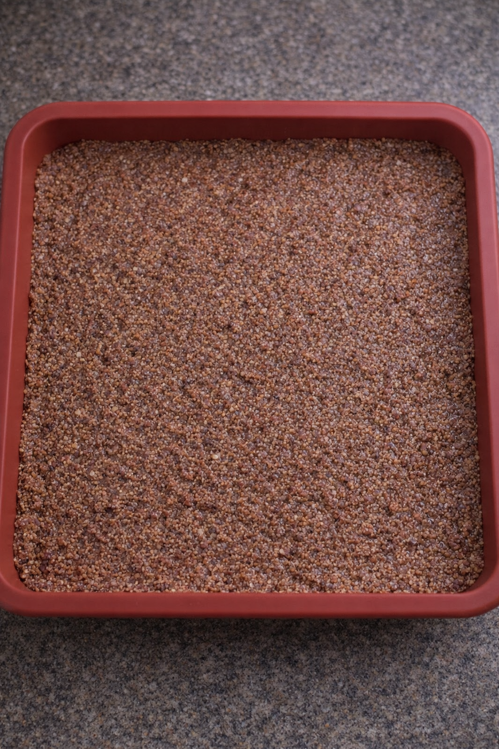 Red silicone tray filled with nutty brown batter for crunchy vegan breakfast bars, ready for baking at 170°C.