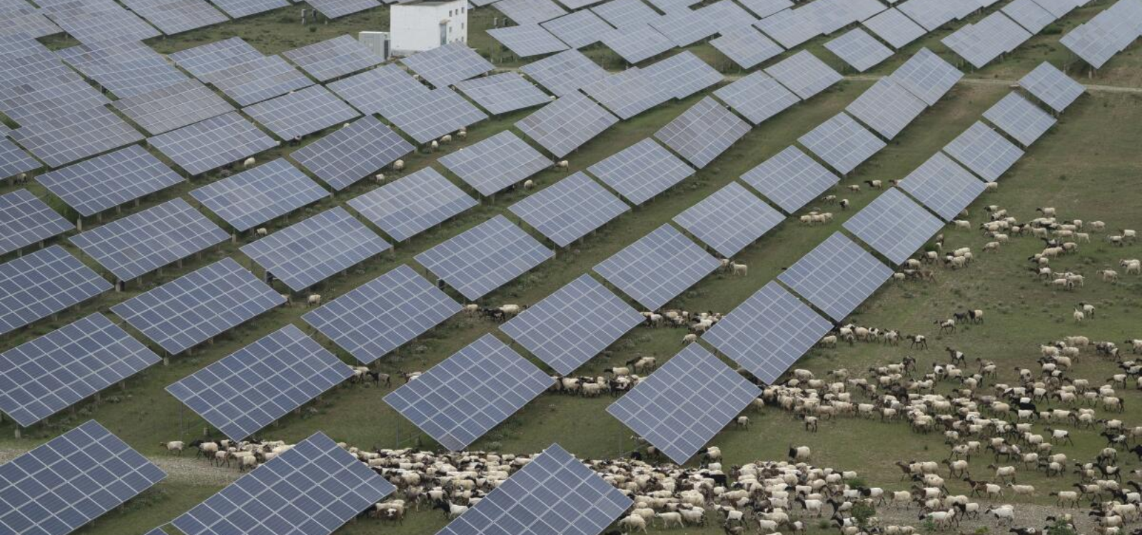 China races to build world’s largest solar farm to meet emissions targets