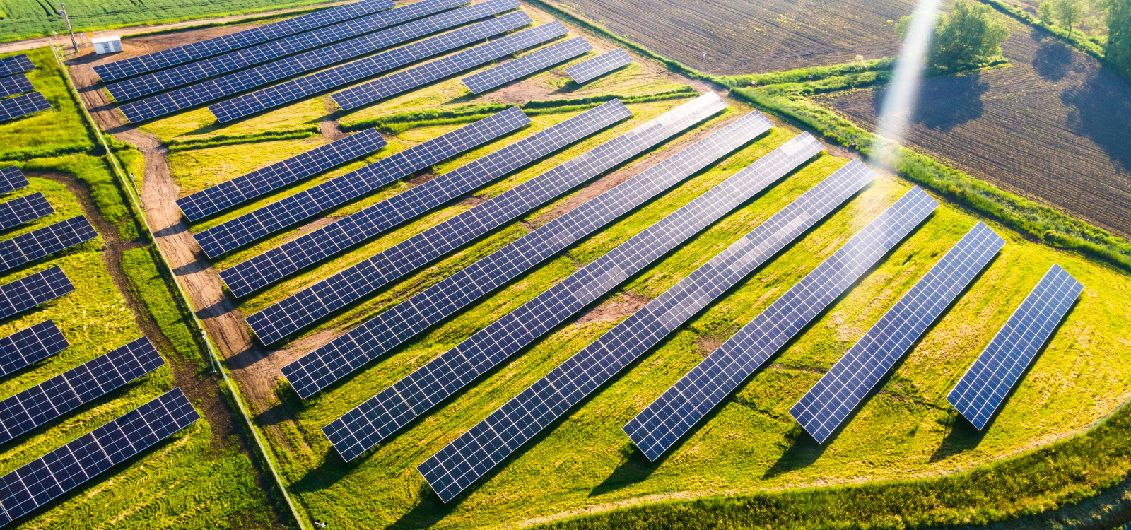 PSEG could offer lower rates to New Jersey’s incoming governor: equity analysts