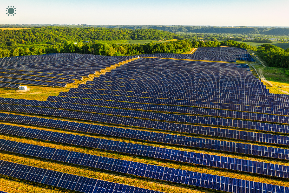 Large solar farm with long rows of photovoltaic panels stretching across rolling fields, surrounded by green trees under a clear sky.