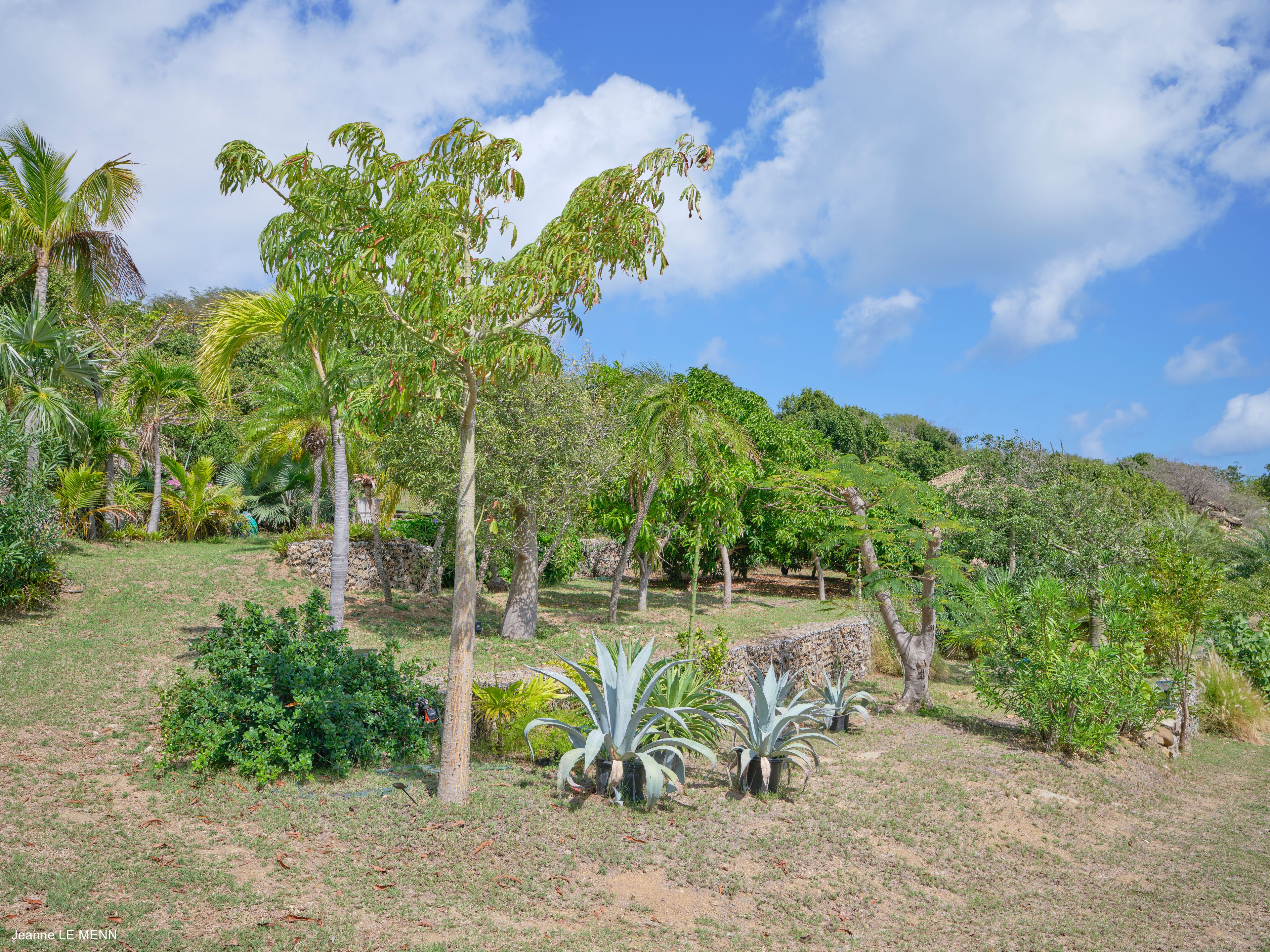 Saline Hills — Saline - villa photo 1
