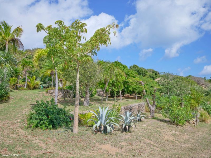 Saline Hills — Saline - villa photo 1
