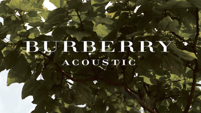 Burberry acoustic