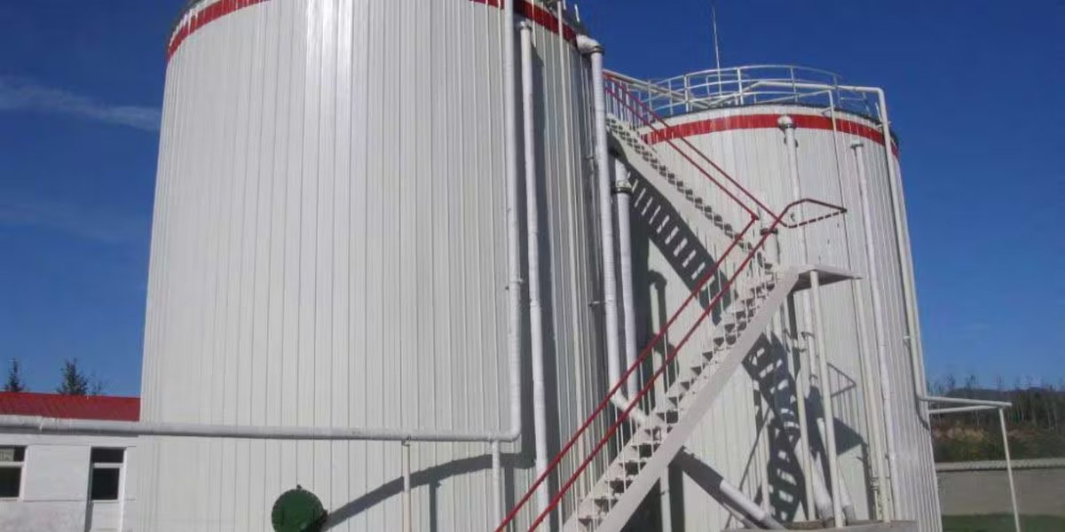 Methane Digesters - China