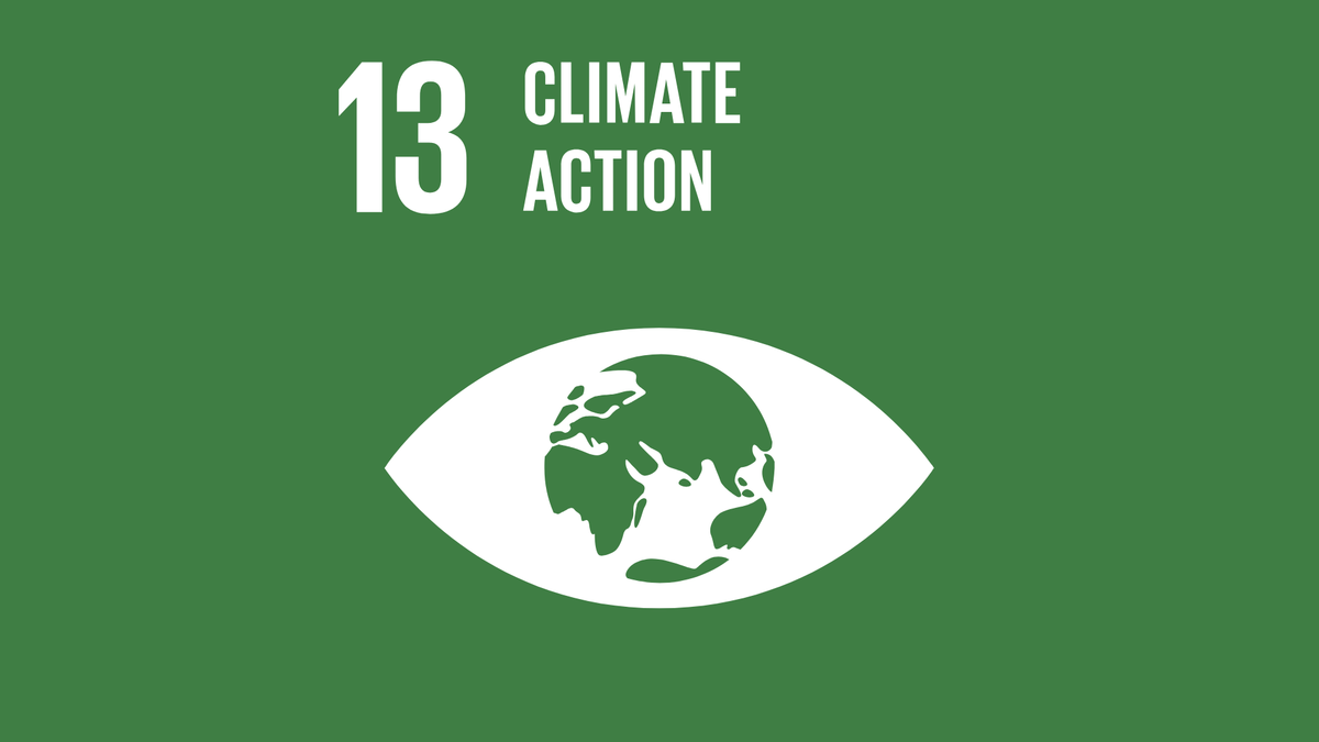 SDG # 13