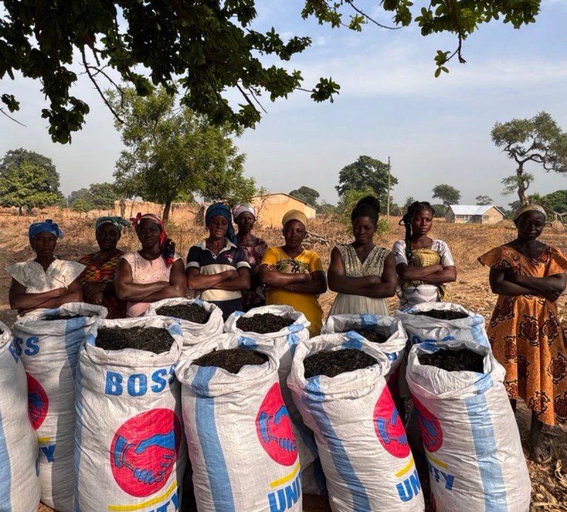 Carboneers, Ghana