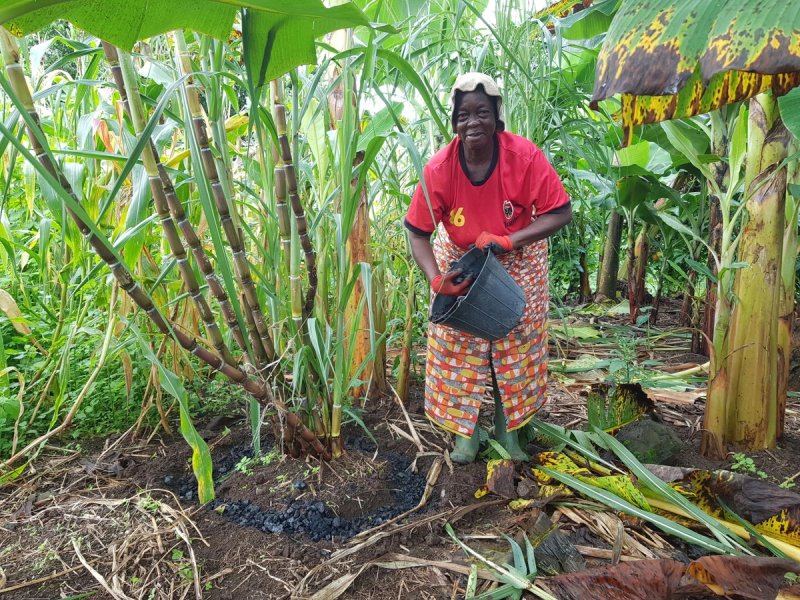 Connect, Cameroun