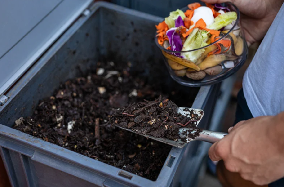 Start composting