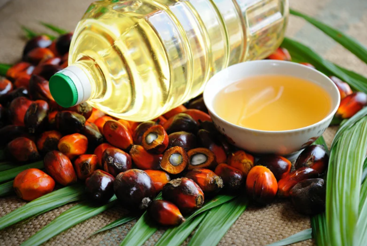 Avoid palm oil