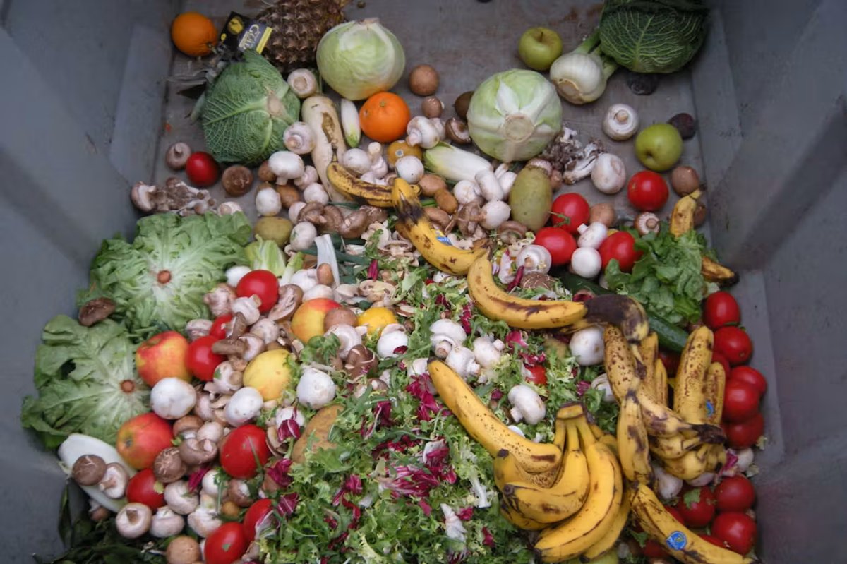 Fight food waste