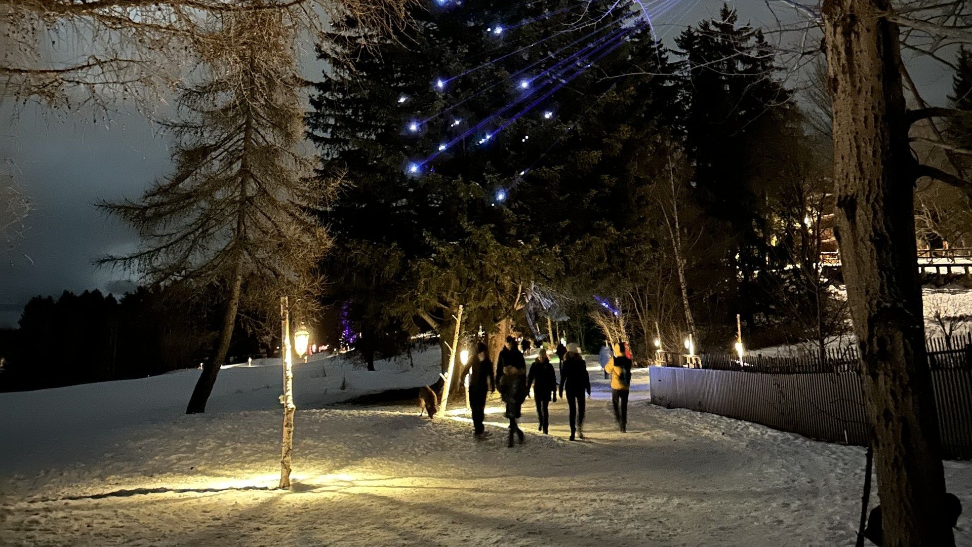 People walk along a snowy, lit forest pathway at dusk with blue and warm holiday lights