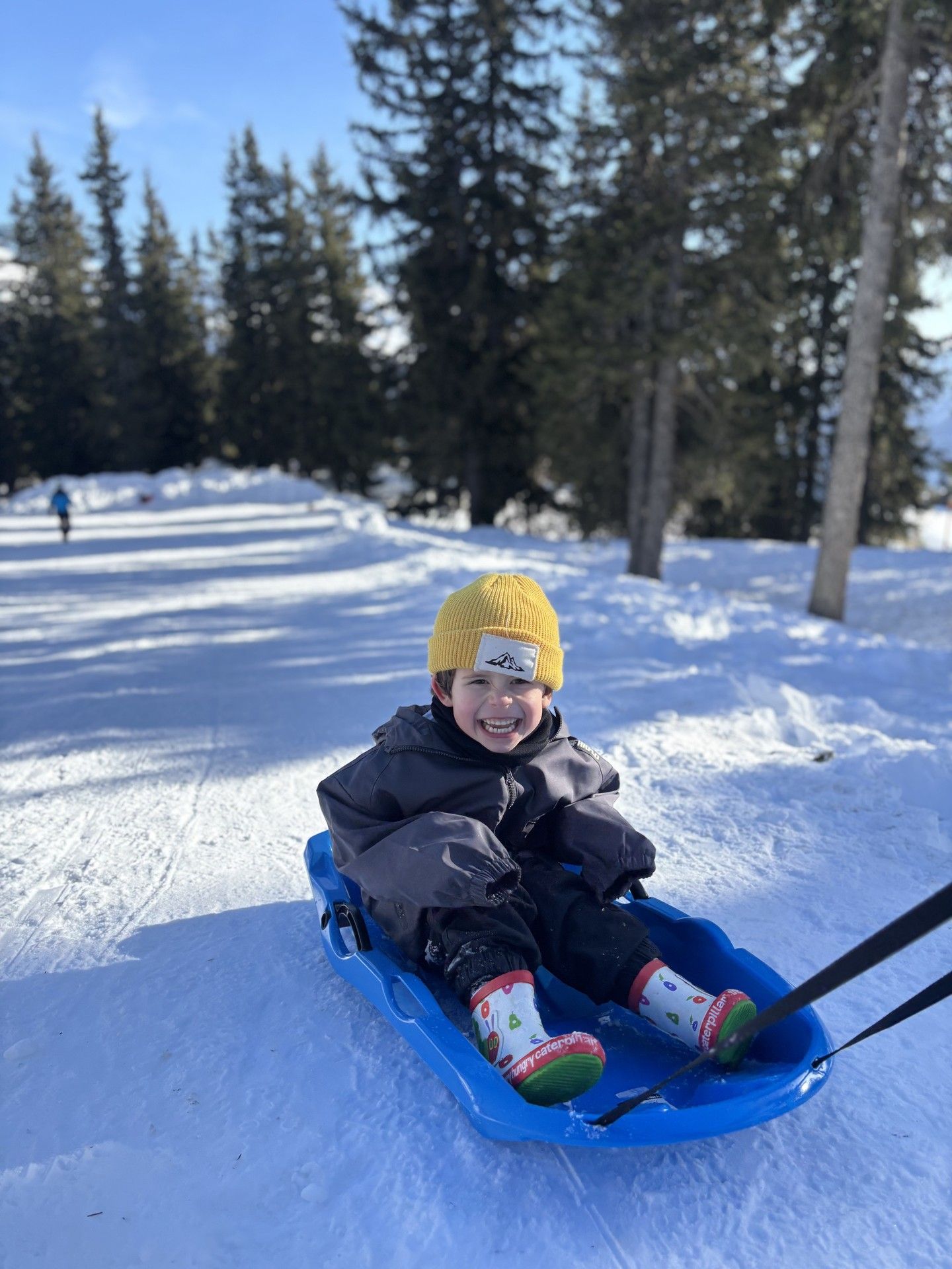 Smiling child sledding on a blue toboggan down a snowy slope in a pine forest