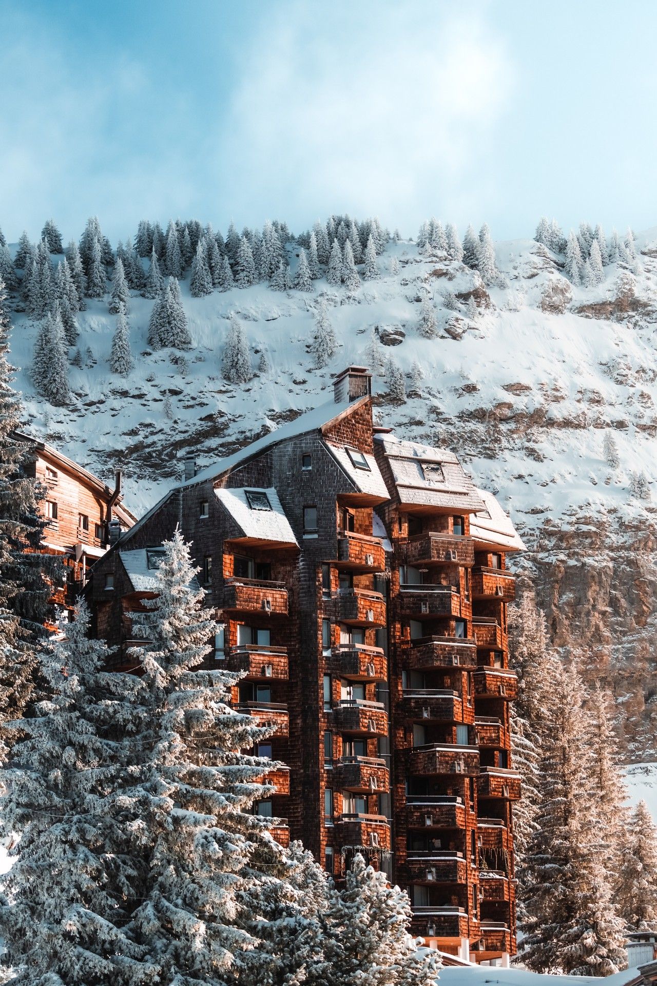 Snow-covered alpine resort buildings in a pine forest under a cloudy sky
