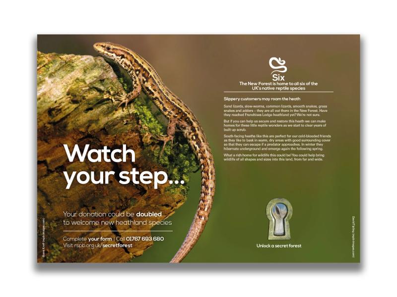 RSPB Secret Forest campaign leaflet inner spread with an image of a reptile on a rock with the caption "Watch your step...".