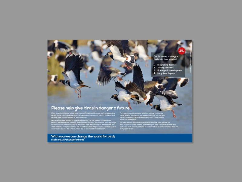 RSPB Red List appeal poster with a flock of birds in flight and campaign messaging to help the birds.