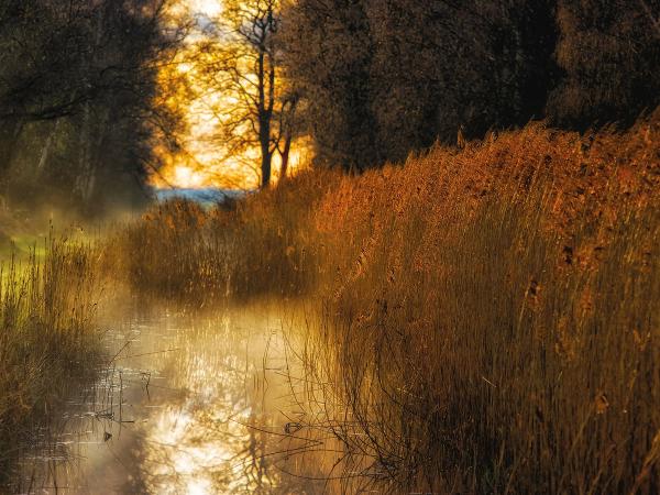 The Wildlife Trusts
