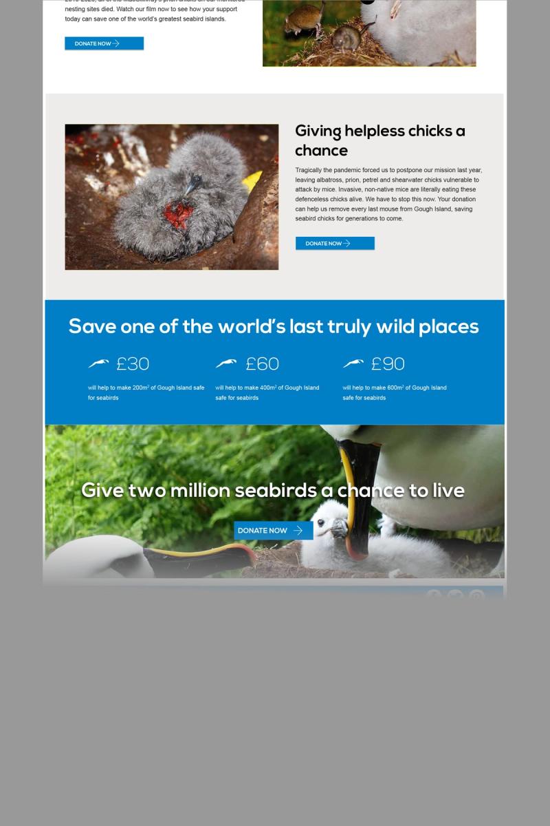 RSPB Gough Island appeal website landing page bottom half fading out towards the bottom.