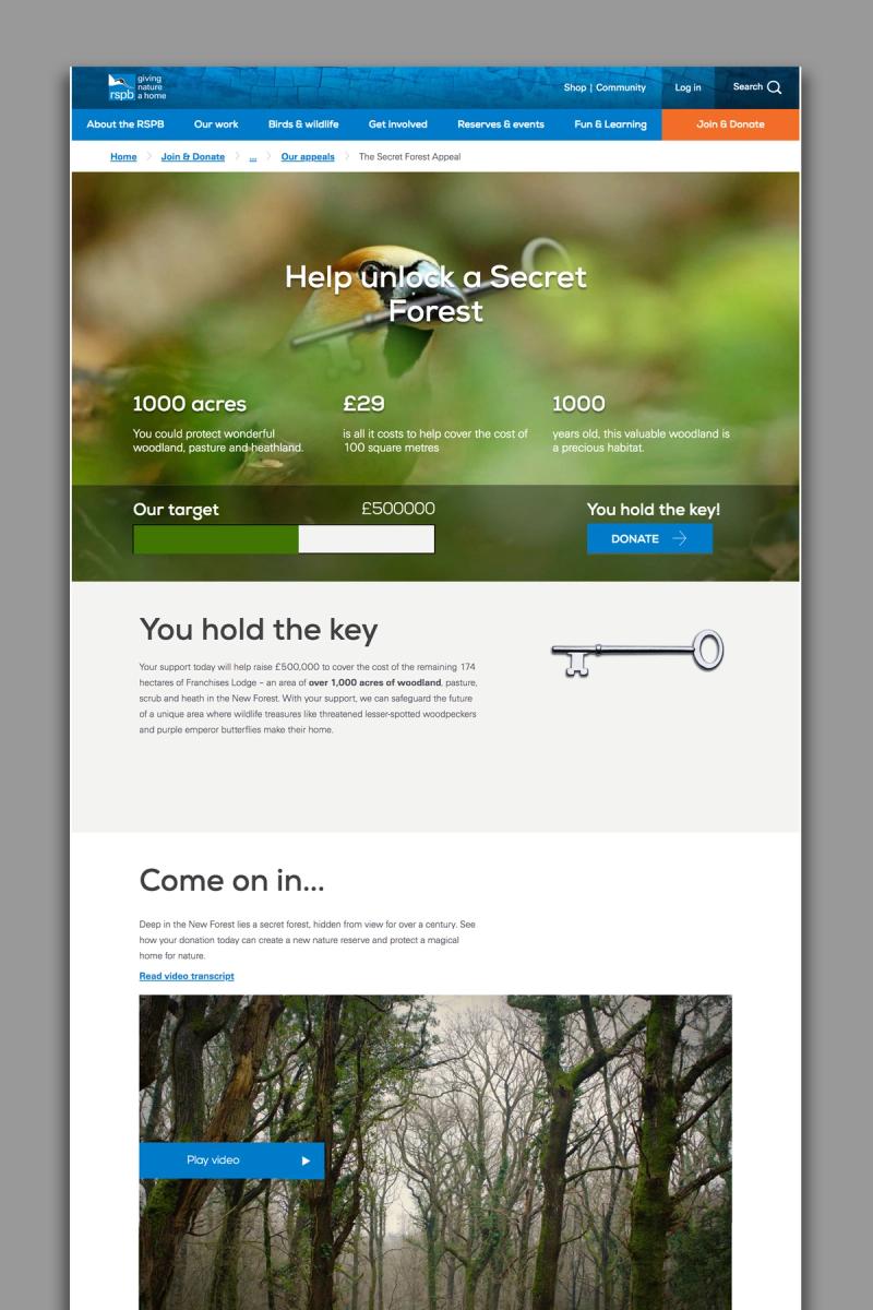 RSPB Secret Forest campaign website landing page mock up fading to the bottom with the title "Help unlock a Secret Forest".