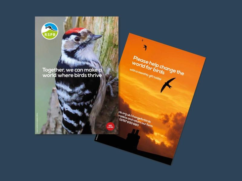 RSPB Red List appeal posters with images of 'Red List' birds and campaign messaging.