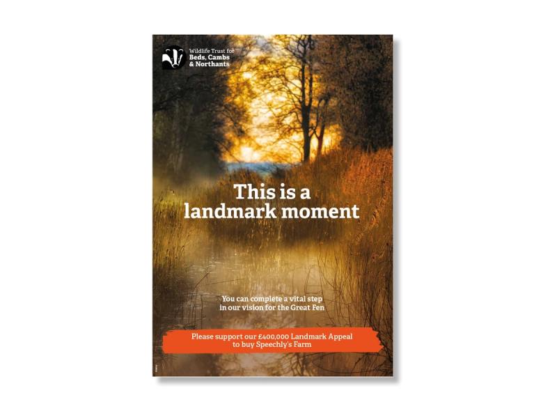 The Wildlife Trust - Brochure cover showing an image of a brown brush landscape at sunrise with the caption "This is a landmark moment".