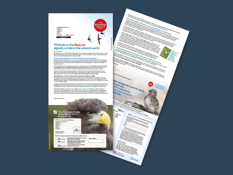 RSPB Red List appeal letter and donation form front and reverse with the front showing a beautiful bird of prey and an appeal message of "70 birds on the Red List".