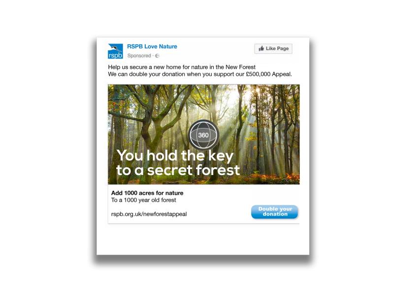 RSPB Secret Forest campaign social media post mockup with the title "You hold the key to a Secret Forest".