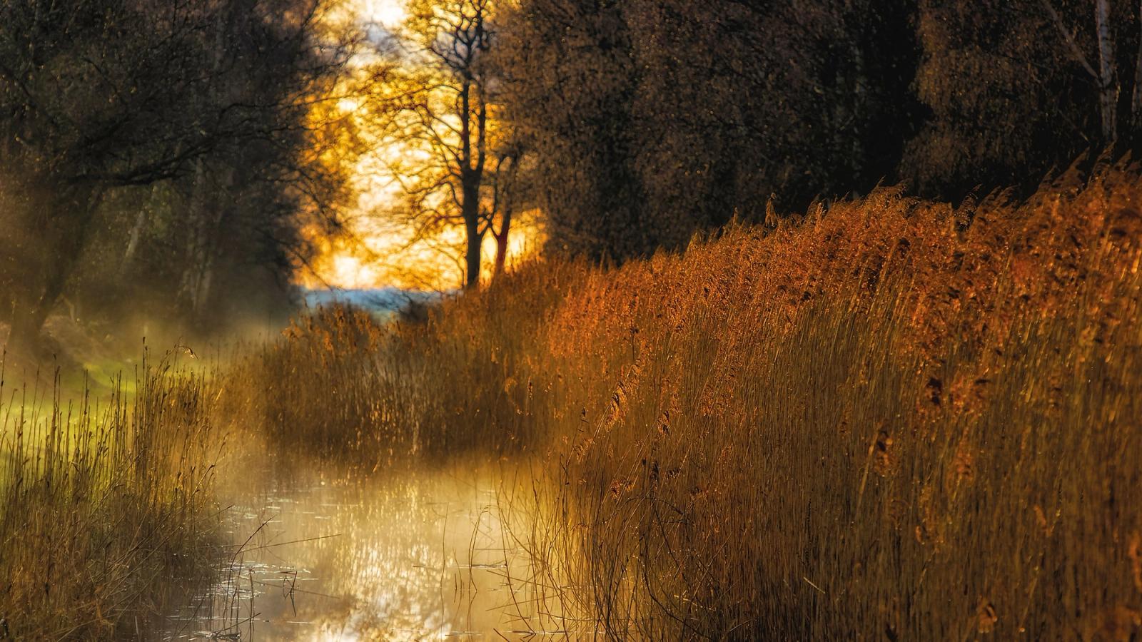 Brown brush landscape at sunrise
