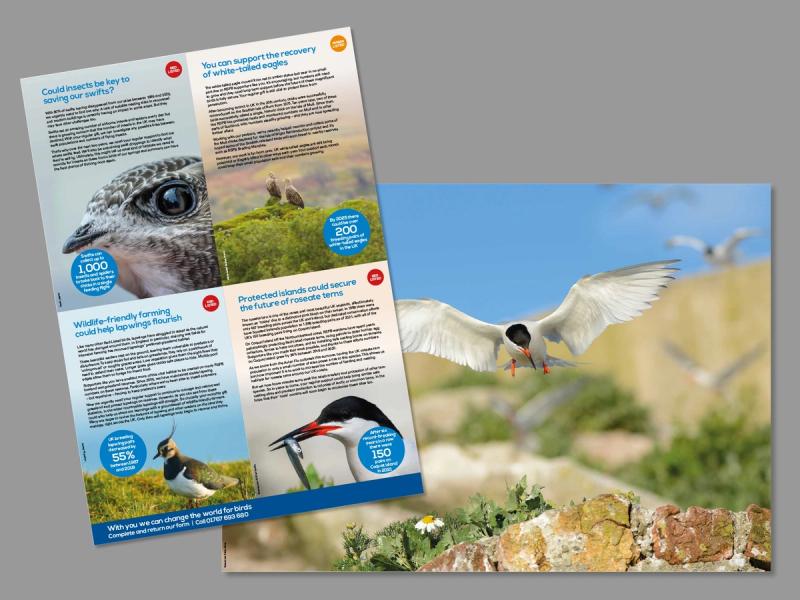 RSPB Red List appeal folding poster showing various birds with campaign messaging and stories.