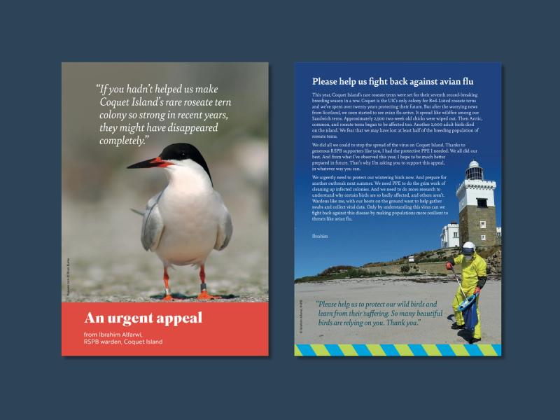 RSPB Avian flu emergency appeal mailer with campaign messages and images.