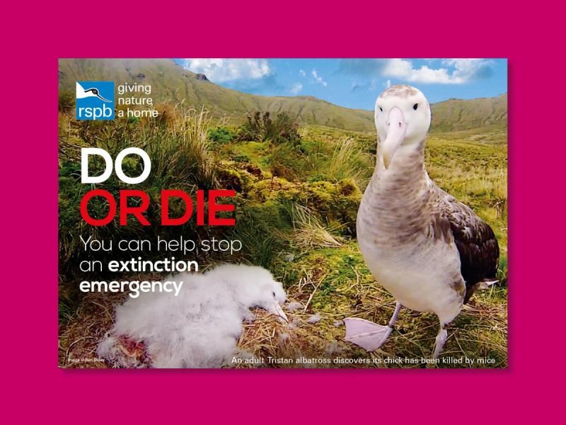 RSPB Gough Island appeal envelope cover with an Albatross overlooking a dead Albatross with the caption "DO OR DIE. You can help to stop an extinction emergency".