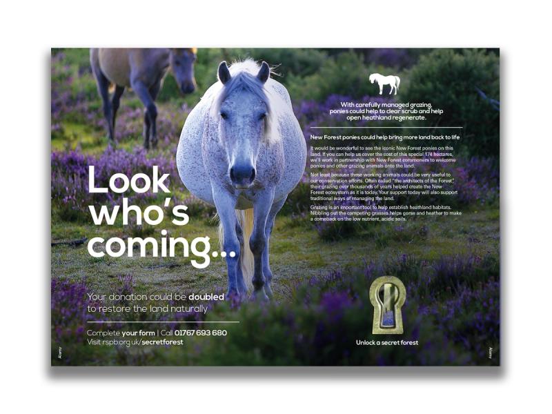 RSPB Secret Forest campaign leaflet inner spread with an image of a white horse in a landscape with the caption "Look who's coming...".