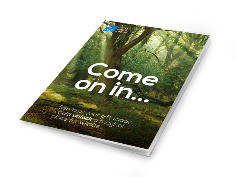 RSPB Secret Forest campaign 3d leaflet mockup with the caption "Come on in...".