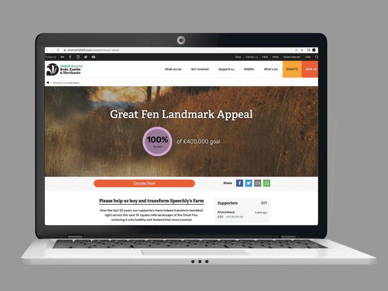 The Wildlife Trust - Website landing page showing the Great Fen Landmark Appeal superimposed onto a laptop.