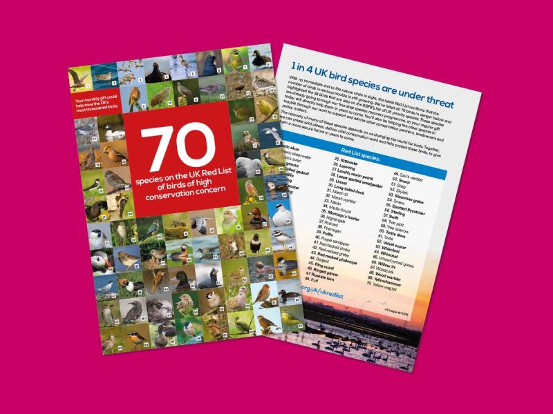 RSPB Red List appeal poster showing a list of the '70' bird species under threat with campaign messaging and stories.