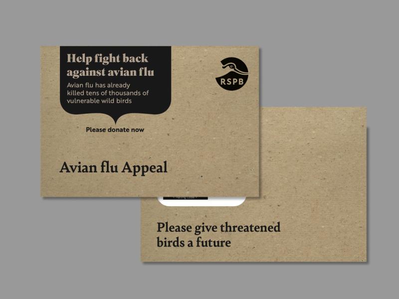 RSPB Avian flu emergency appeal natural brown envelopes with campaign message including - Help fight back against avian flu.