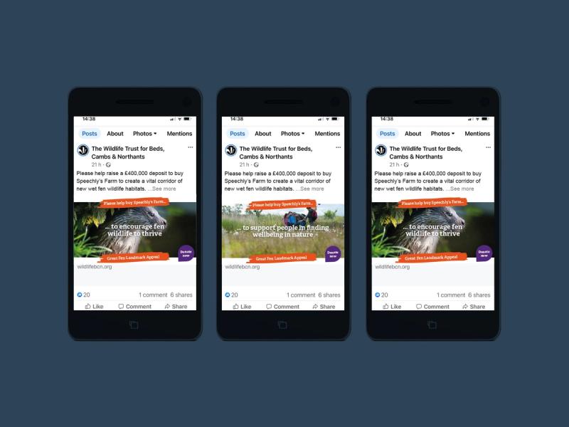 The Wildlife Trust - Social media post examples superimposed onto mobile devices.