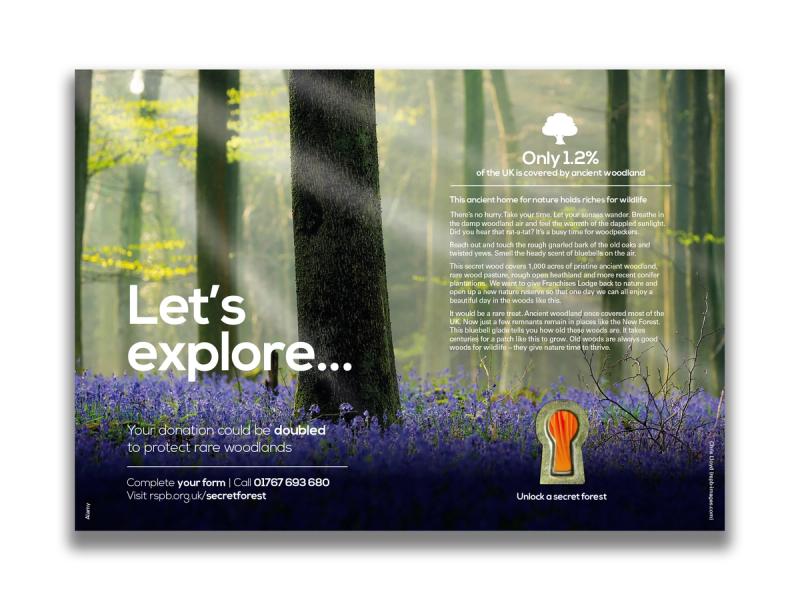 RSPB Secret Forest campaign leaflet inner spread with a forest and carpet of bluebells image with the caption "Let's explore...".