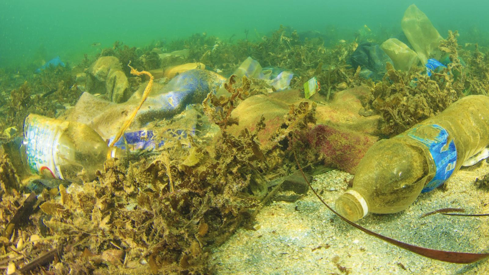 Underwater picture showing plastic waste including bottles mixed into the sand and seaweed