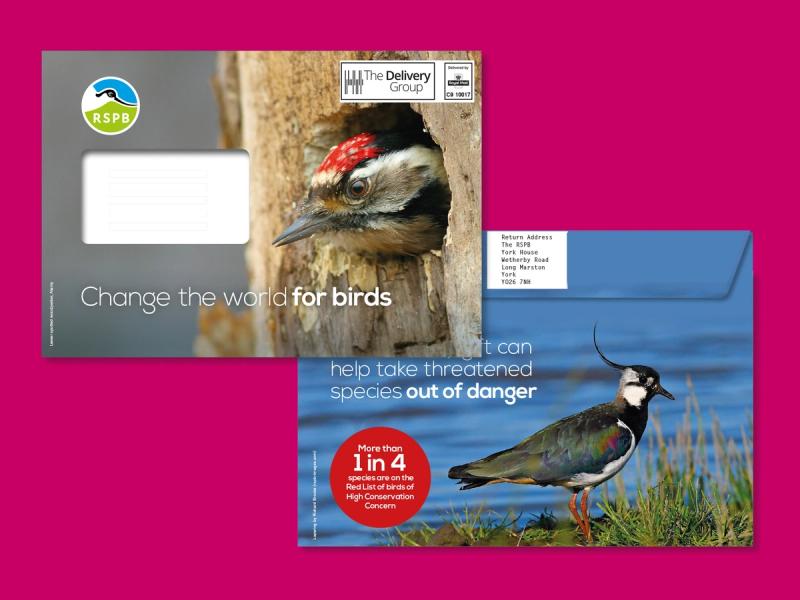RSPB Red List appeal envelope front and reverse laid on top of each other with the front showing a woodpecker poking out from a tree hole with the caption "Change the world for birds".