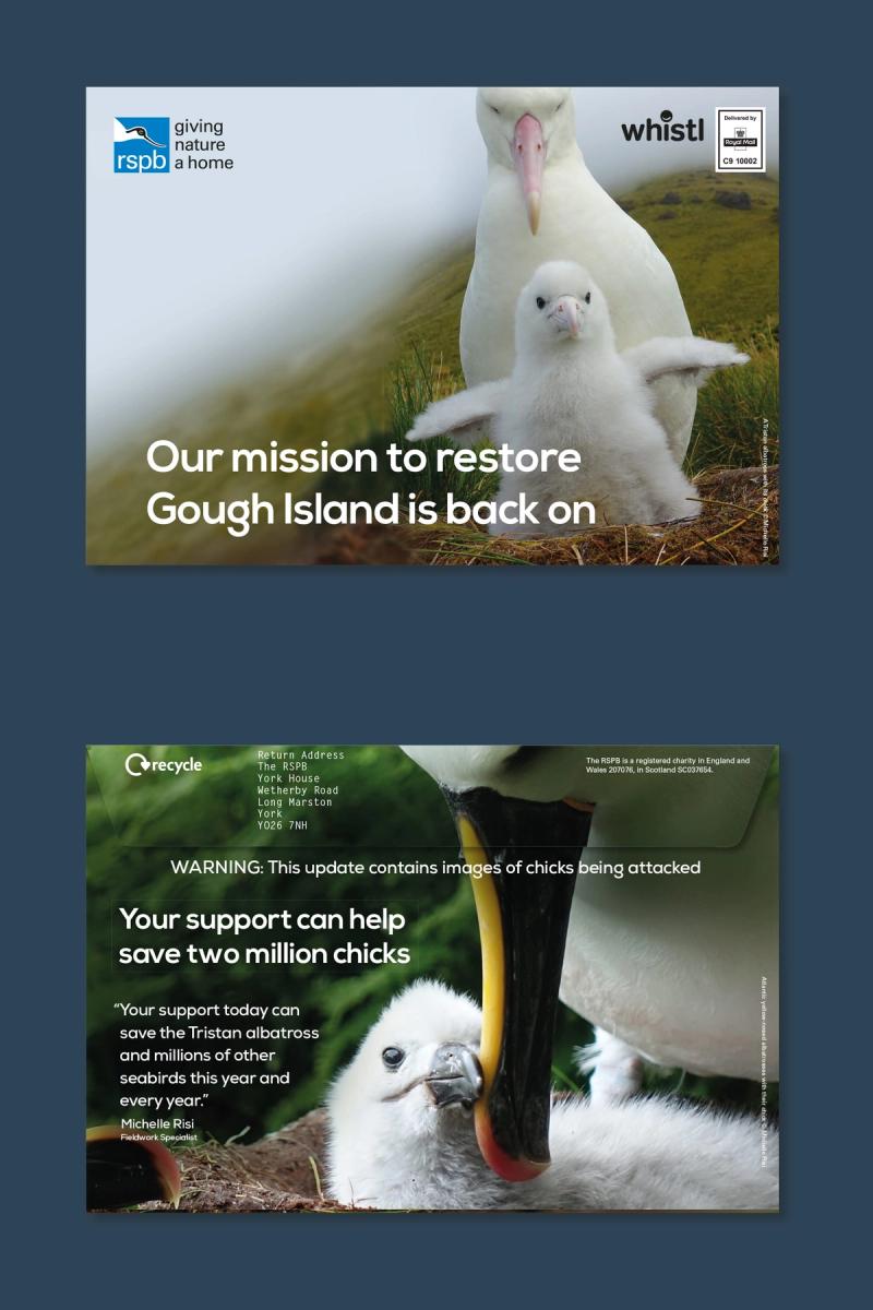 RSPB Gough Island appeal front and reverse showing images of Albatrosses and various captions.