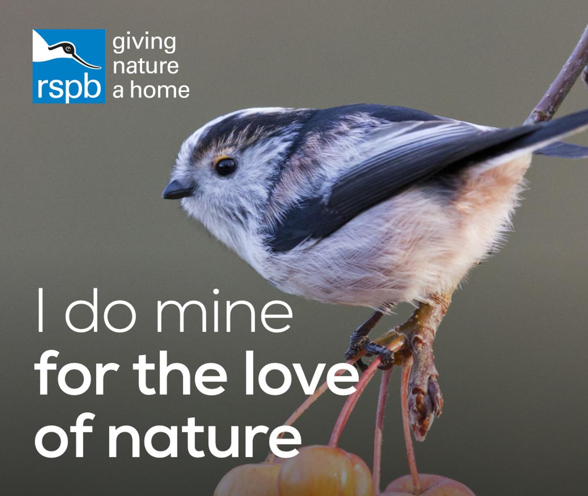 RSPB Big Garden Bird Watch campaign slider showing a bird with the caption "I do mine for the love of nature".