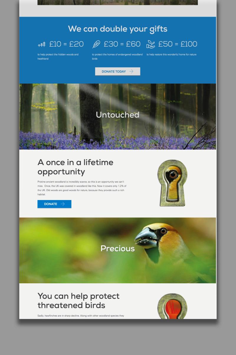 RSPB Secret Forest campaign website landing page mock up bottom half.